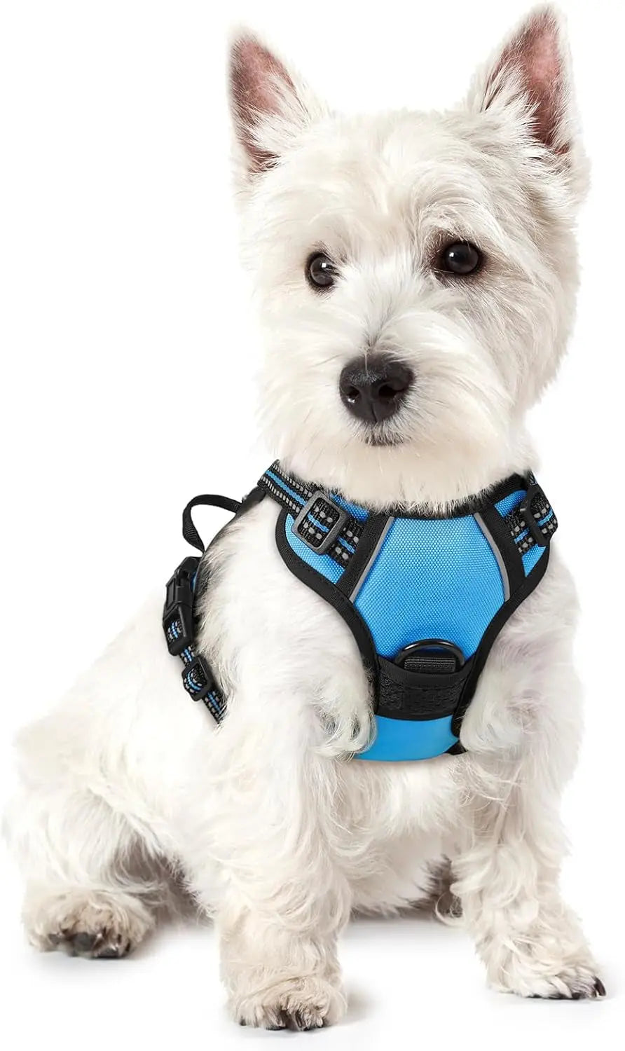 No-Pull Oxford Dog Harness with Dual Leash Clips