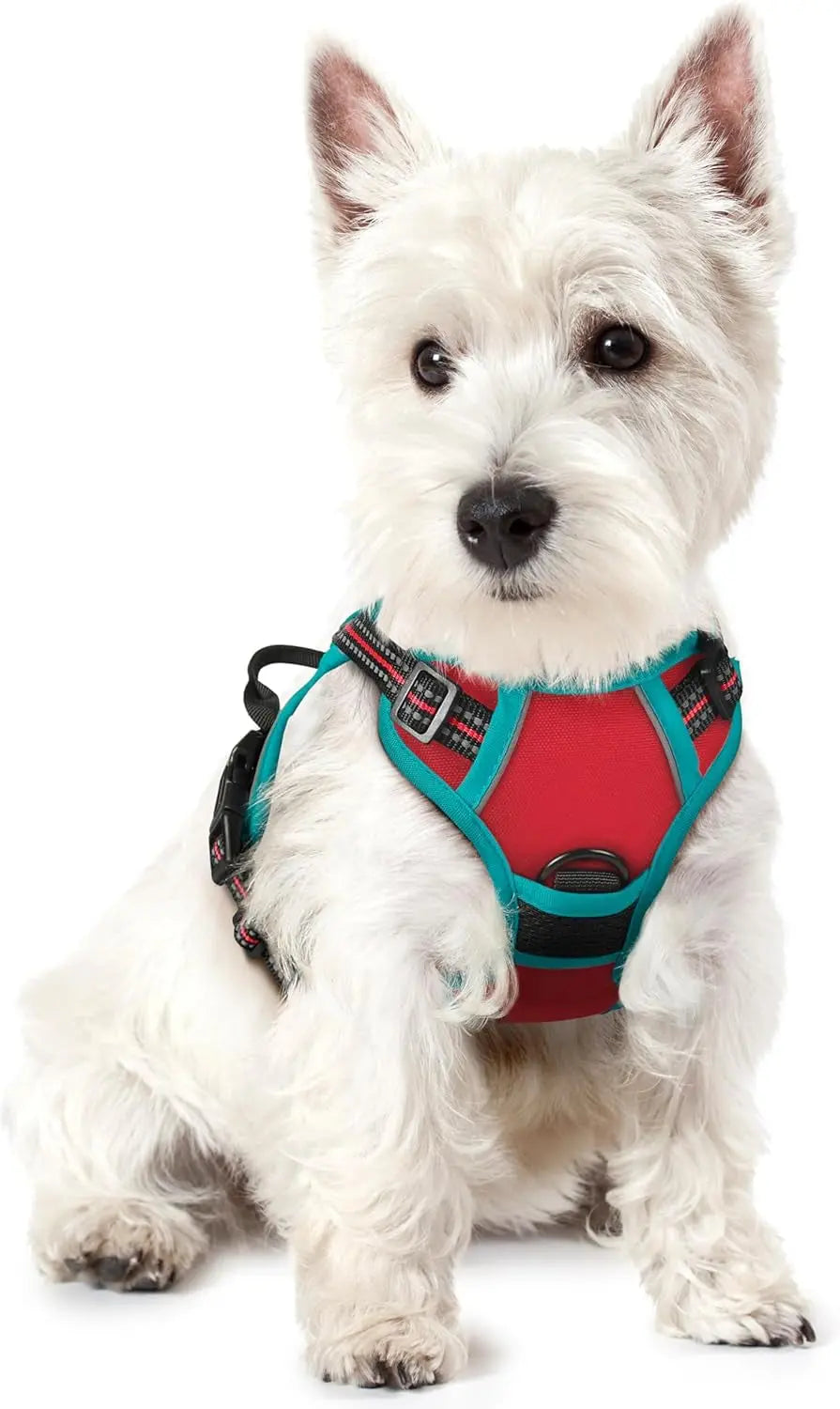 No-Pull Oxford Dog Harness with Dual Leash Clips