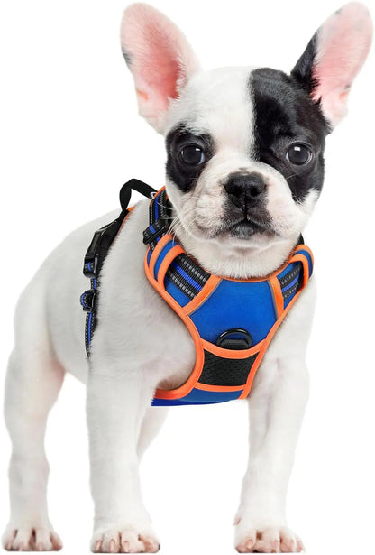 No-Pull Oxford Dog Harness with Dual Leash Clips