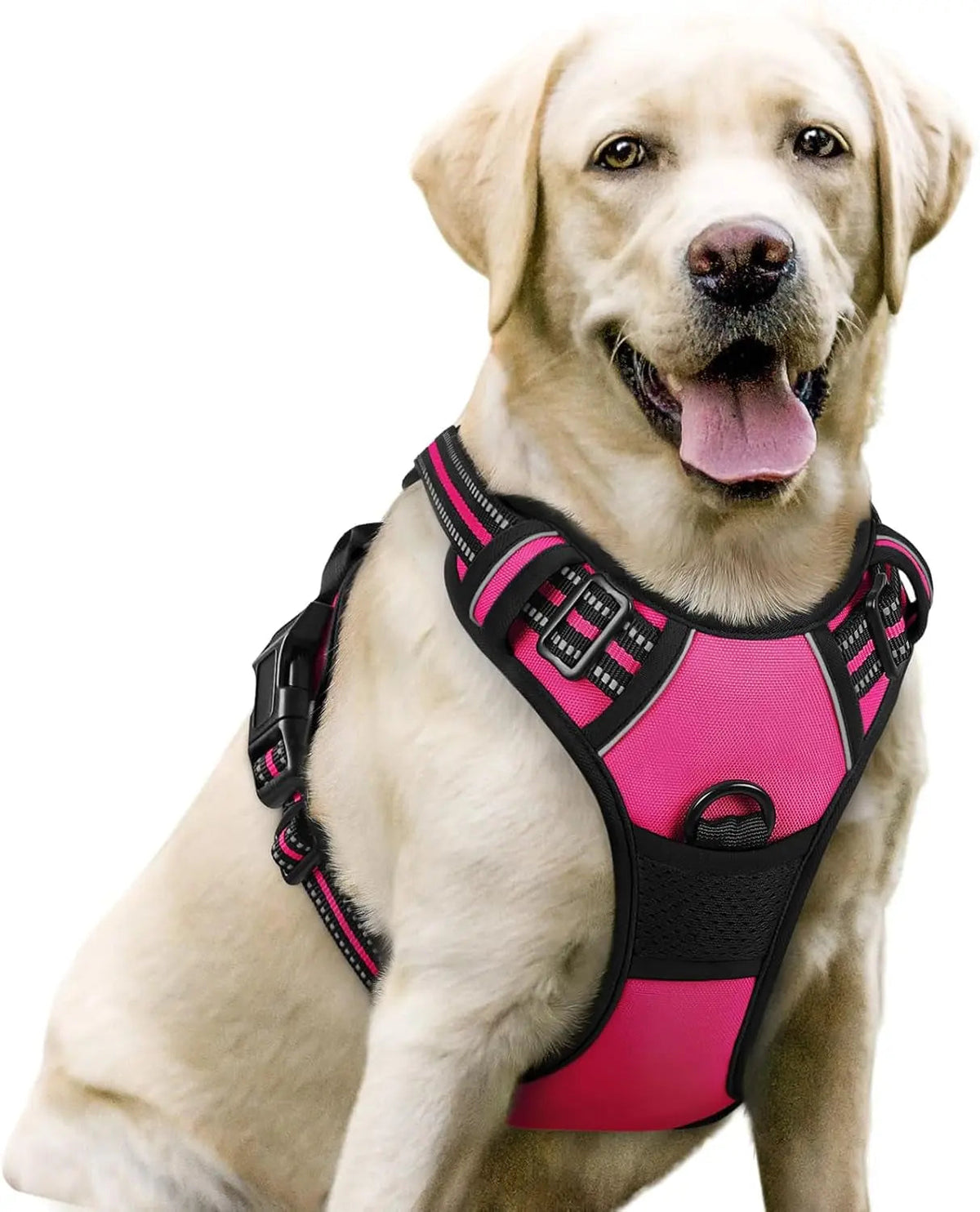 No-Pull Oxford Dog Harness with Dual Leash Clips