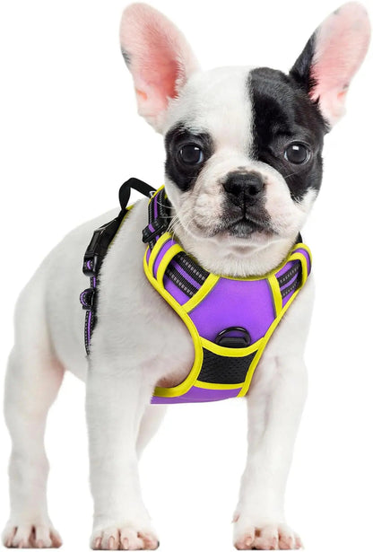No-Pull Oxford Dog Harness with Dual Leash Clips