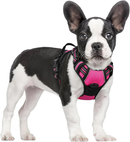 No-Pull Oxford Dog Harness with Dual Leash Clips