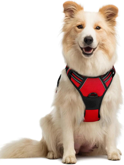 No-Pull Oxford Dog Harness with Dual Leash Clips