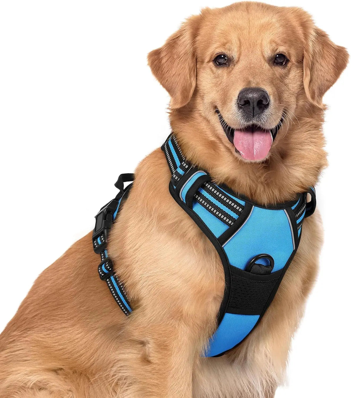 No-Pull Oxford Dog Harness with Dual Leash Clips