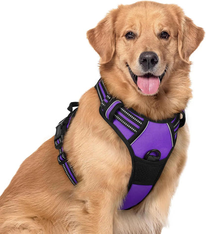 No-Pull Oxford Dog Harness with Dual Leash Clips