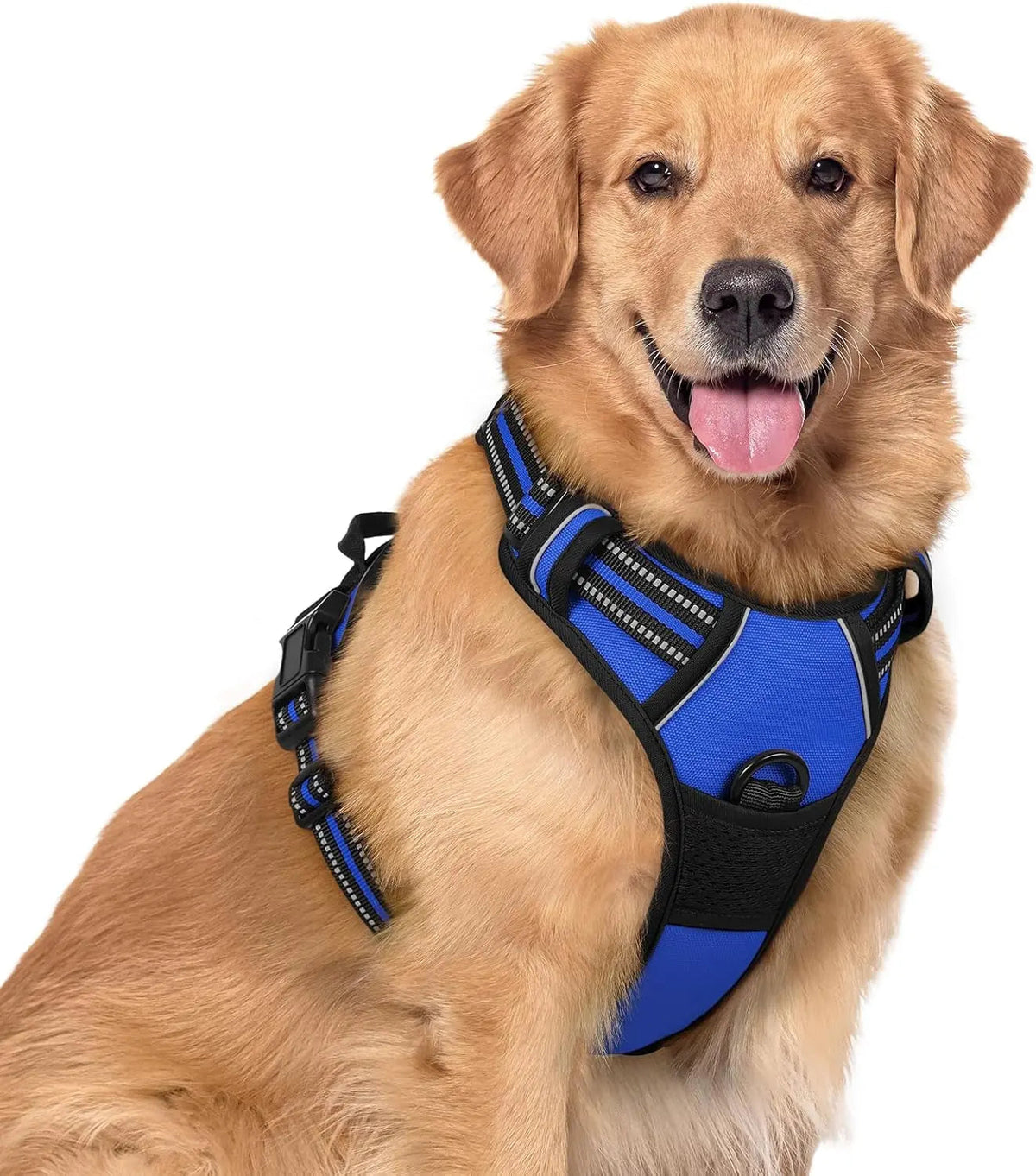 No-Pull Oxford Dog Harness with Dual Leash Clips