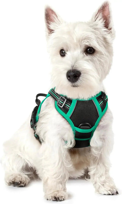 No-Pull Oxford Dog Harness with Dual Leash Clips