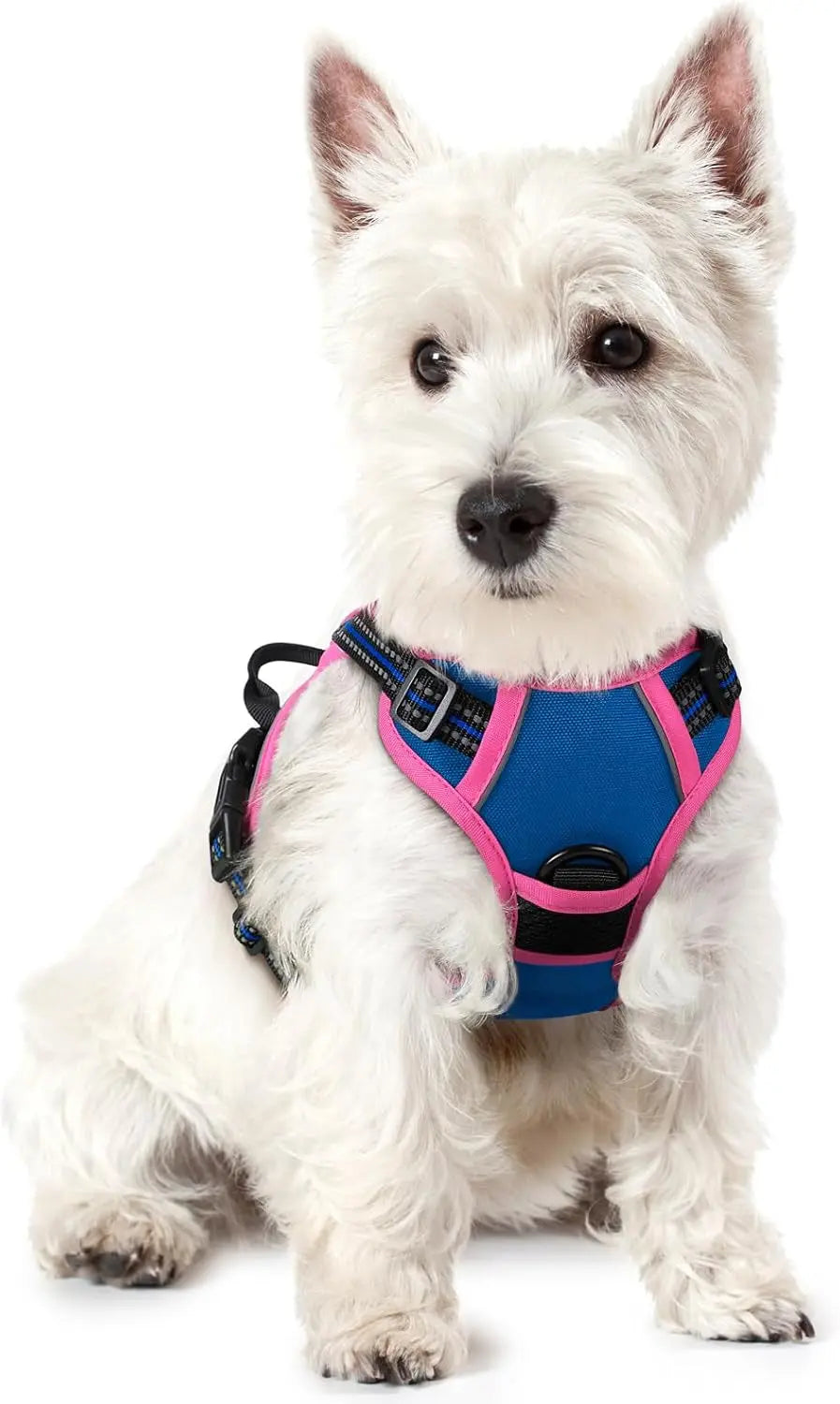 No-Pull Oxford Dog Harness with Dual Leash Clips