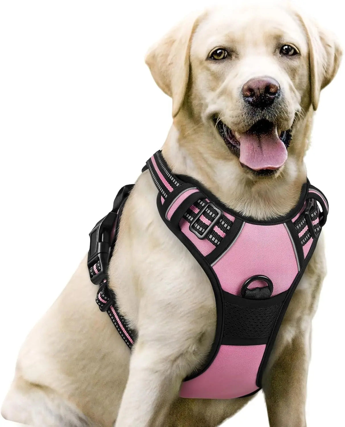 No-Pull Oxford Dog Harness with Dual Leash Clips