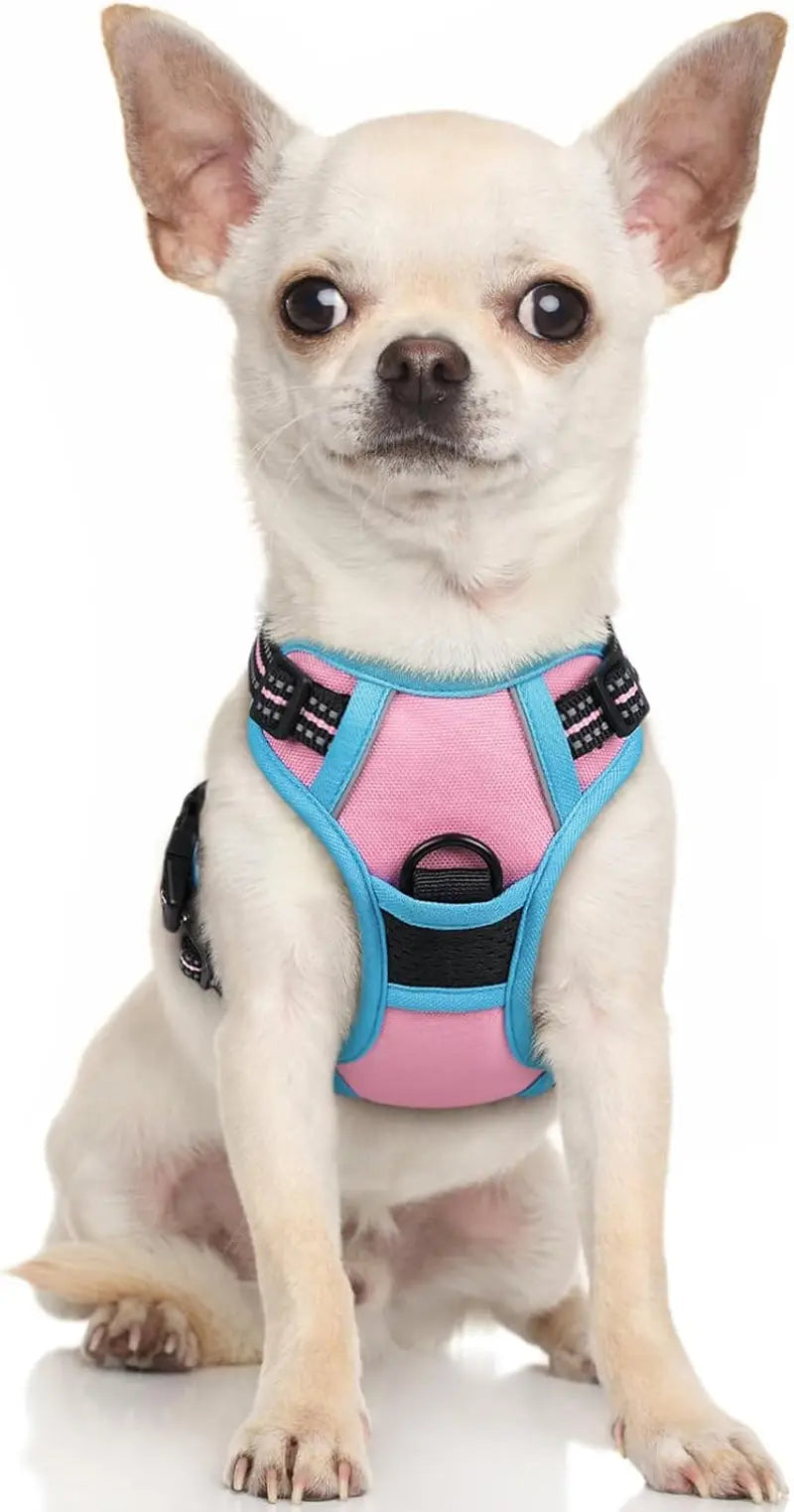 No-Pull Oxford Dog Harness with Dual Leash Clips