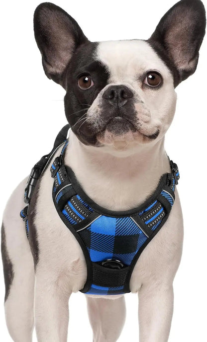 No-Pull Oxford Dog Harness with Dual Leash Clips