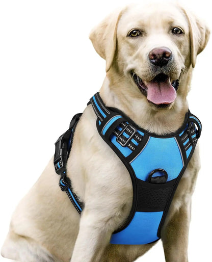 No-Pull Oxford Dog Harness with Dual Leash Clips