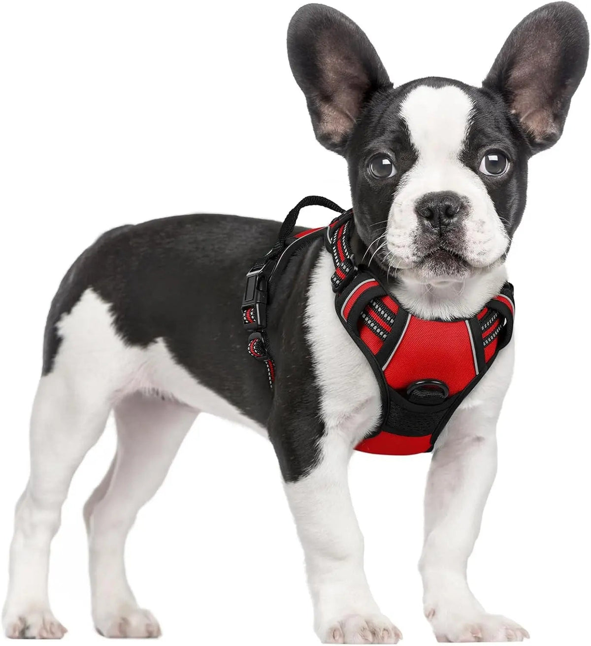 No-Pull Oxford Dog Harness with Dual Leash Clips