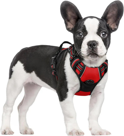 No-Pull Oxford Dog Harness with Dual Leash Clips