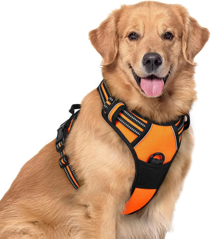 No-Pull Oxford Dog Harness with Dual Leash Clips