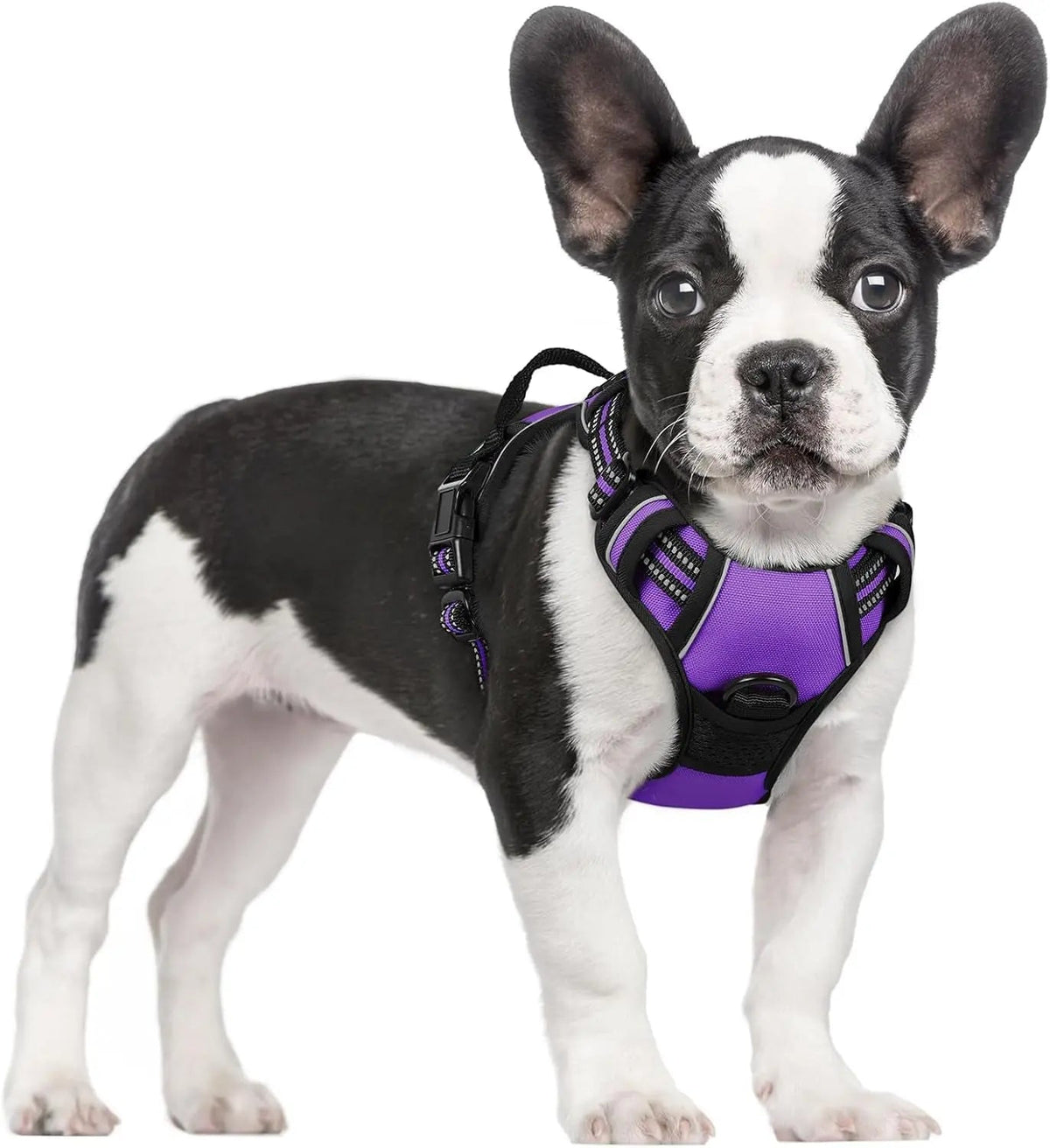 No-Pull Oxford Dog Harness with Dual Leash Clips