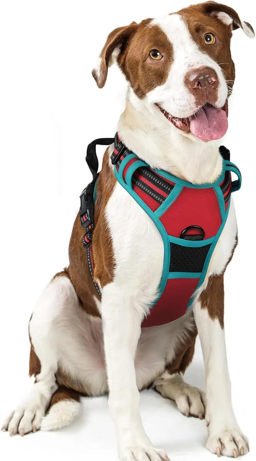No-Pull Oxford Dog Harness with Dual Leash Clips