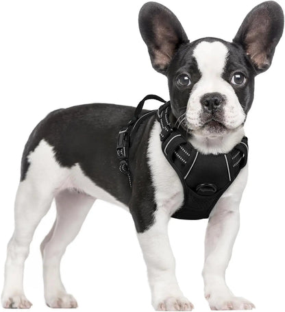 No-Pull Oxford Dog Harness with Dual Leash Clips