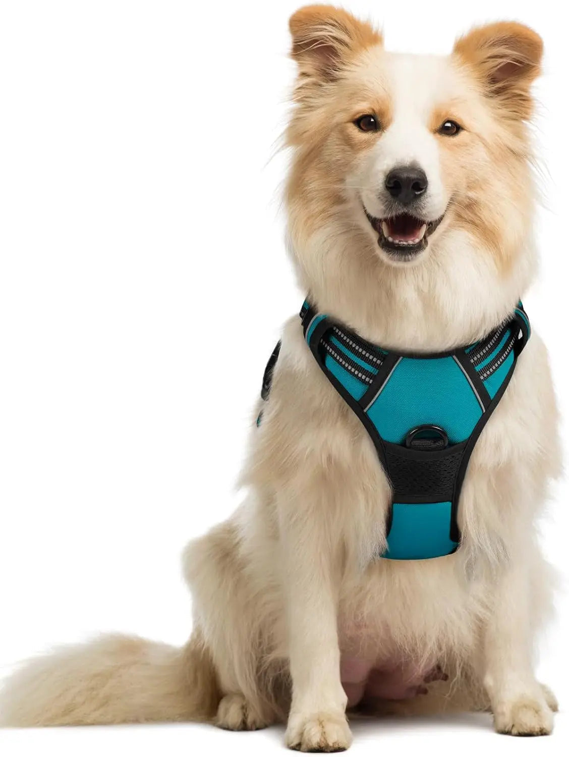 No-Pull Oxford Dog Harness with Dual Leash Clips
