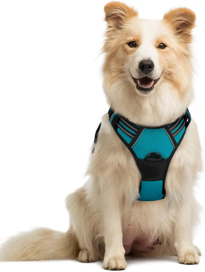No-Pull Oxford Dog Harness with Dual Leash Clips