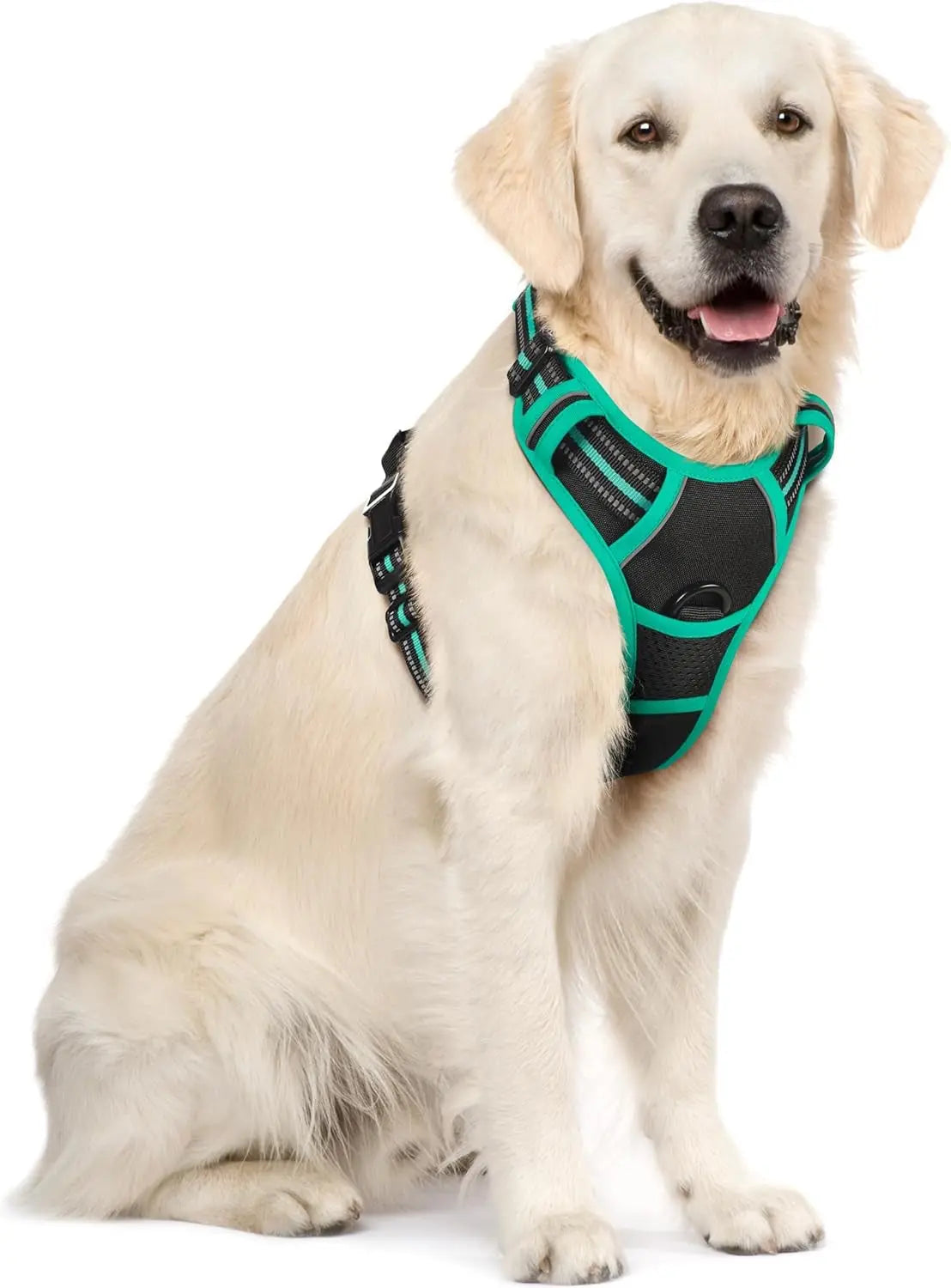 No-Pull Oxford Dog Harness with Dual Leash Clips