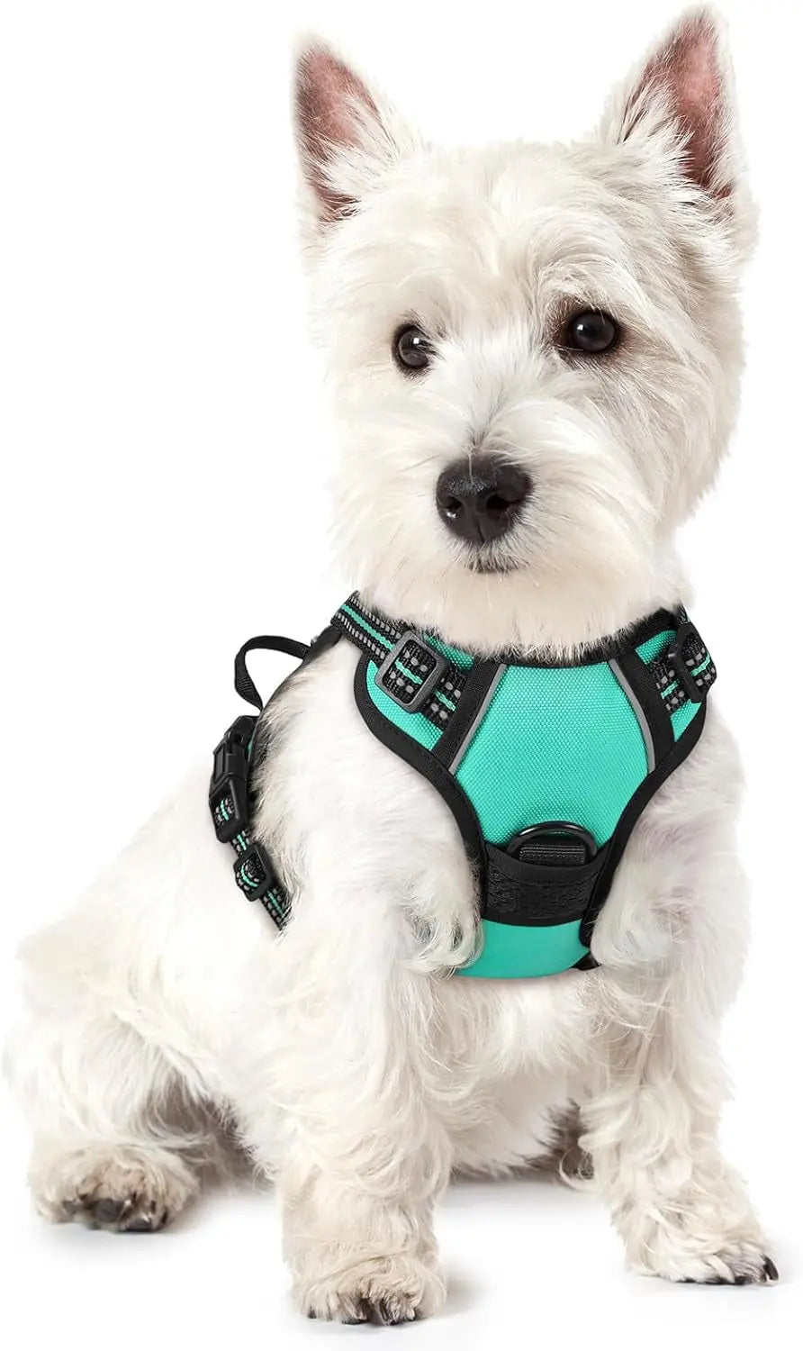 No-Pull Oxford Dog Harness with Dual Leash Clips
