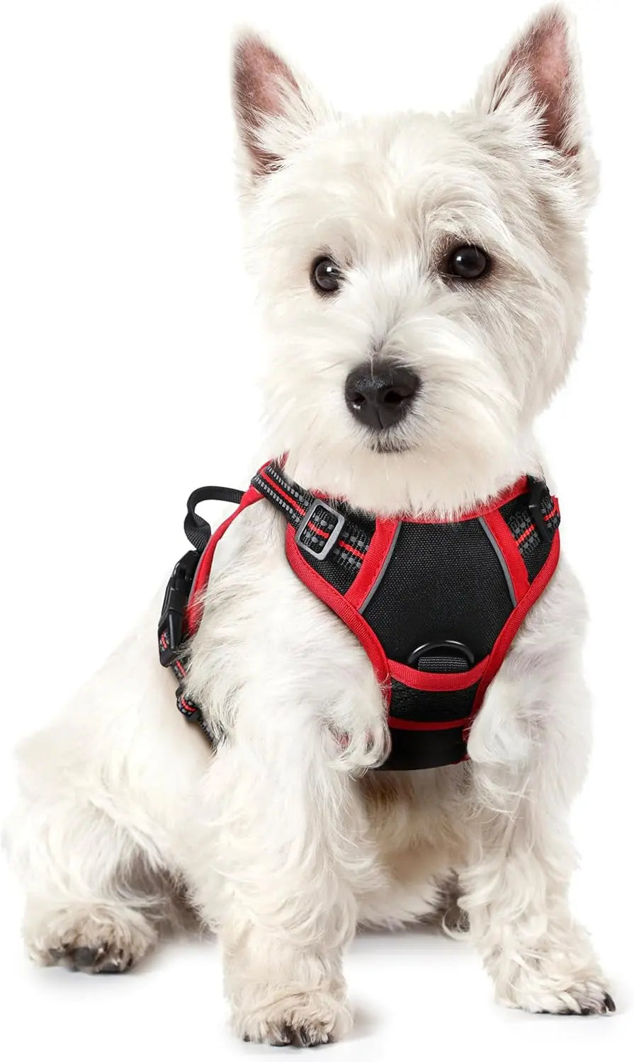 No-Pull Oxford Dog Harness with Dual Leash Clips