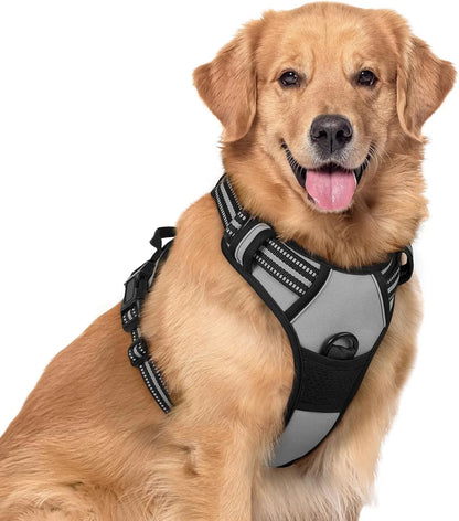 No-Pull Oxford Dog Harness with Dual Leash Clips