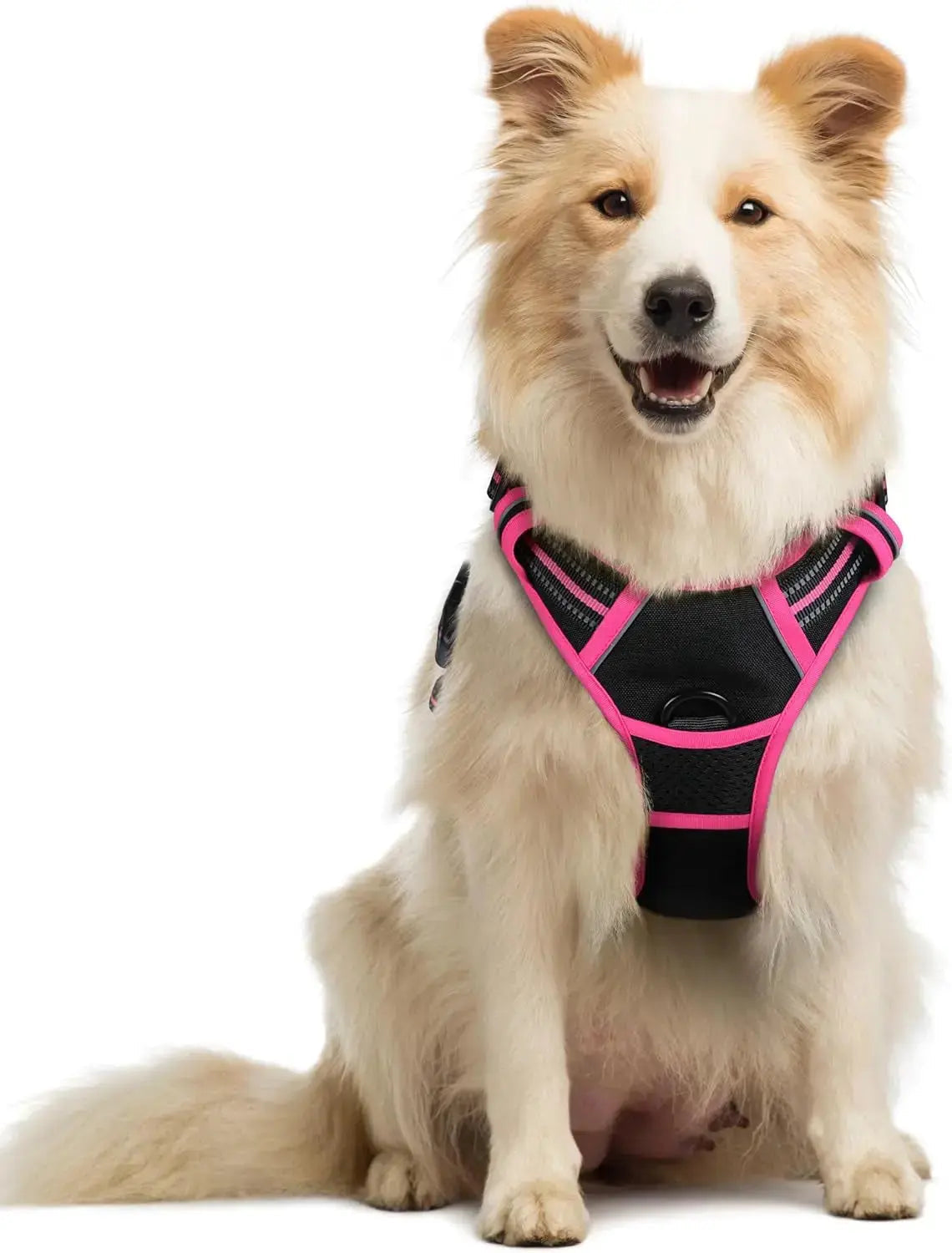 No-Pull Oxford Dog Harness with Dual Leash Clips