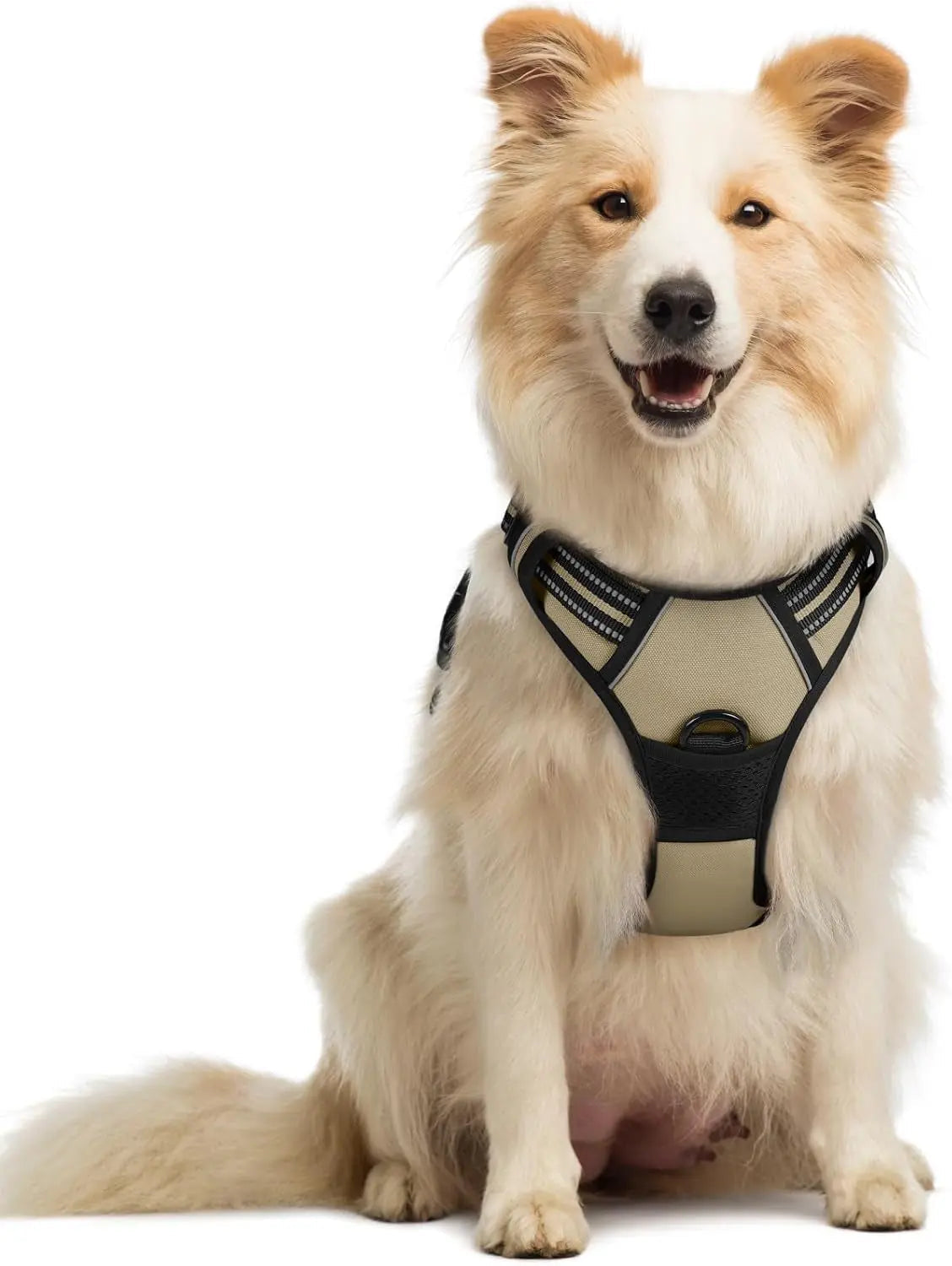No-Pull Oxford Dog Harness with Dual Leash Clips