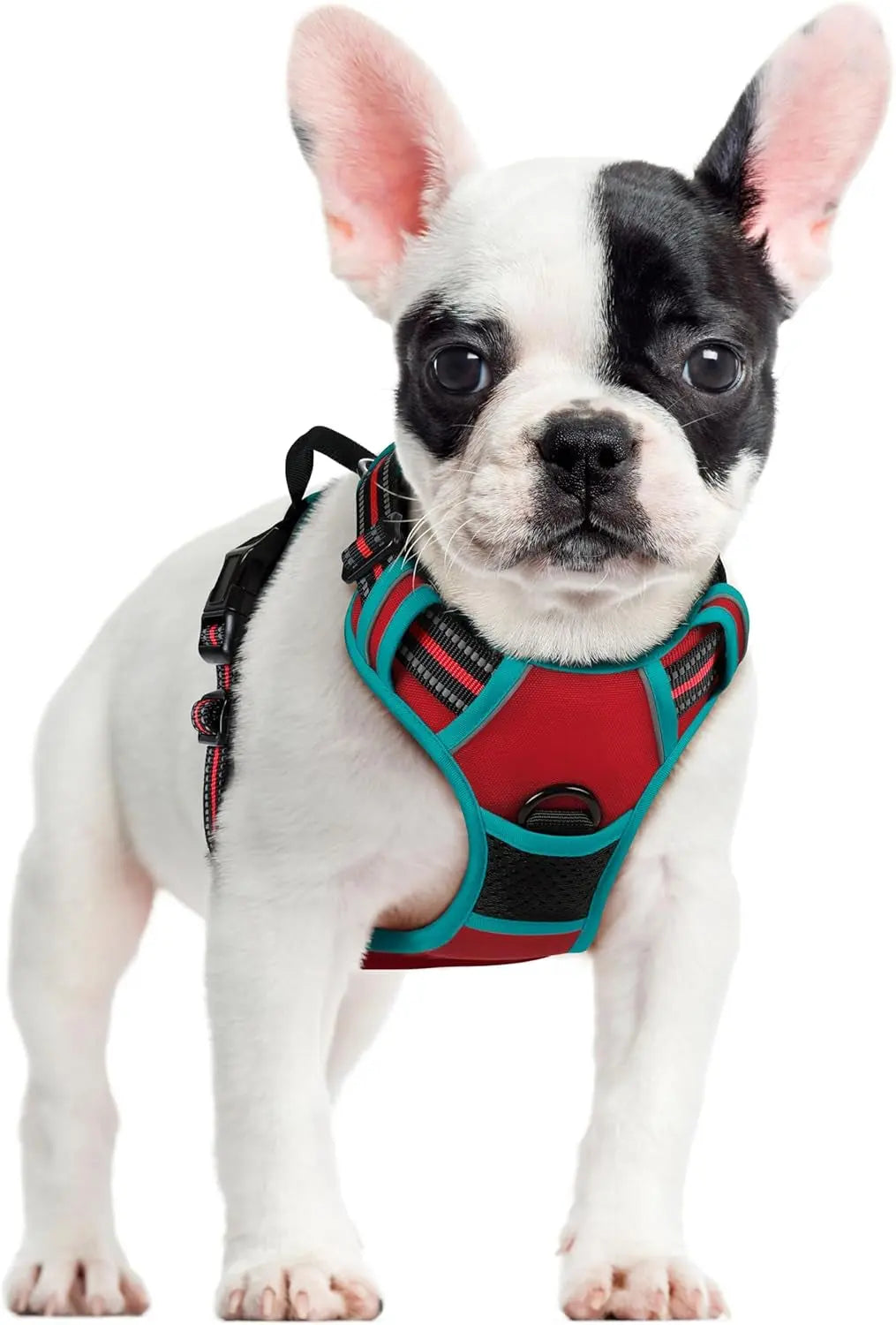 No-Pull Oxford Dog Harness with Dual Leash Clips