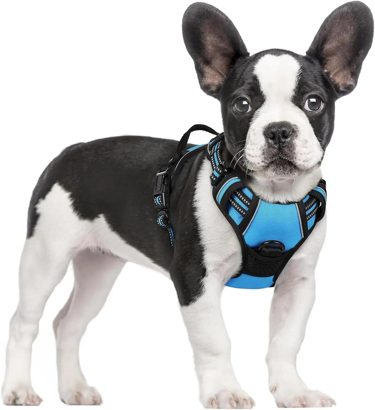 No-Pull Oxford Dog Harness with Dual Leash Clips