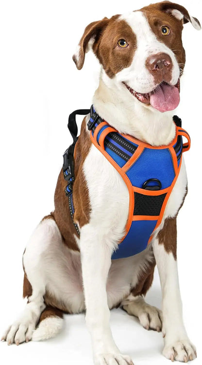 No-Pull Oxford Dog Harness with Dual Leash Clips