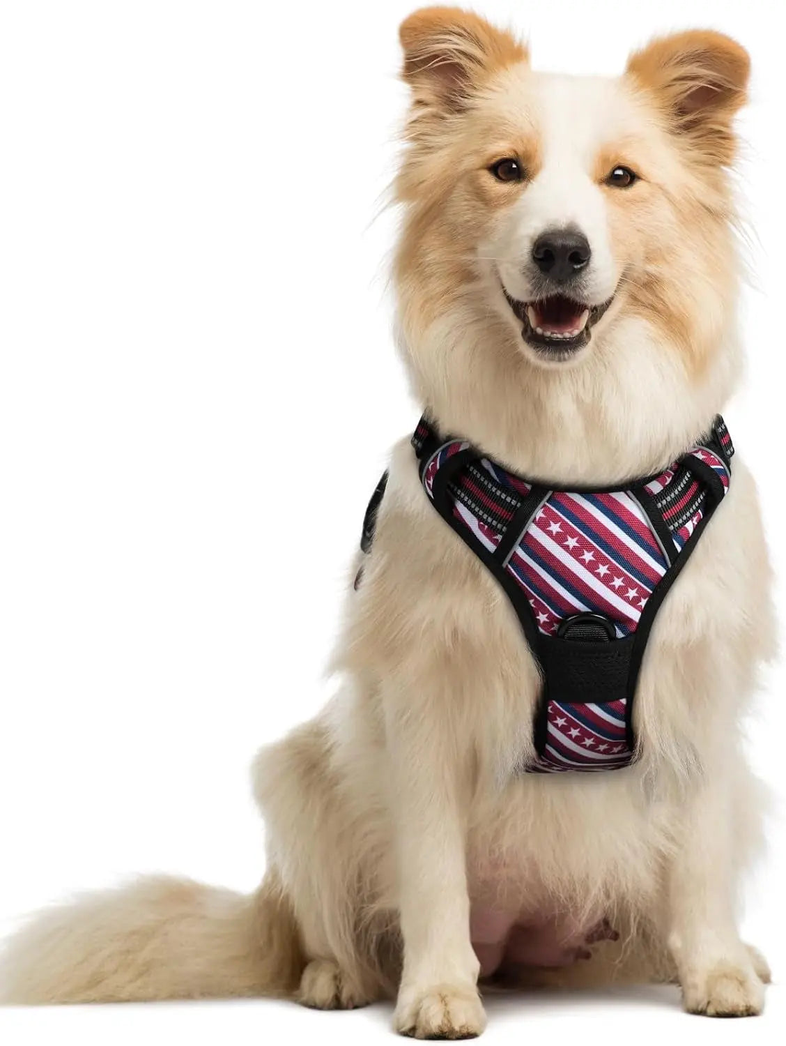No-Pull Oxford Dog Harness with Dual Leash Clips
