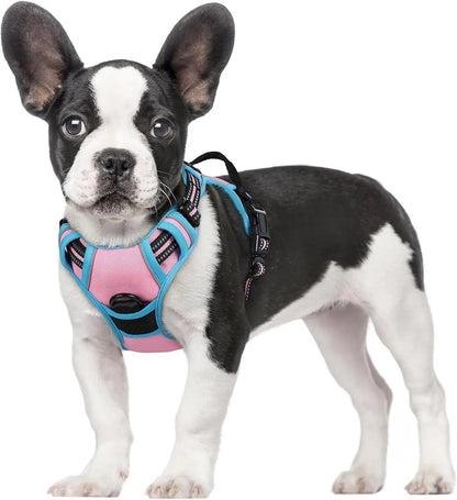 No-Pull Oxford Dog Harness with Dual Leash Clips