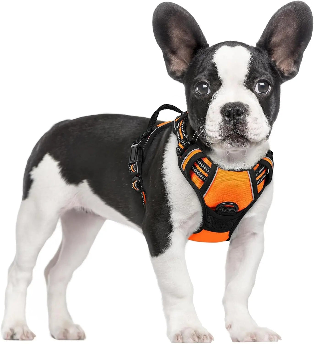 No-Pull Oxford Dog Harness with Dual Leash Clips