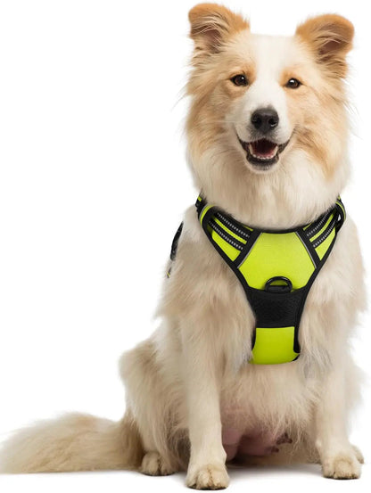No-Pull Oxford Dog Harness with Dual Leash Clips