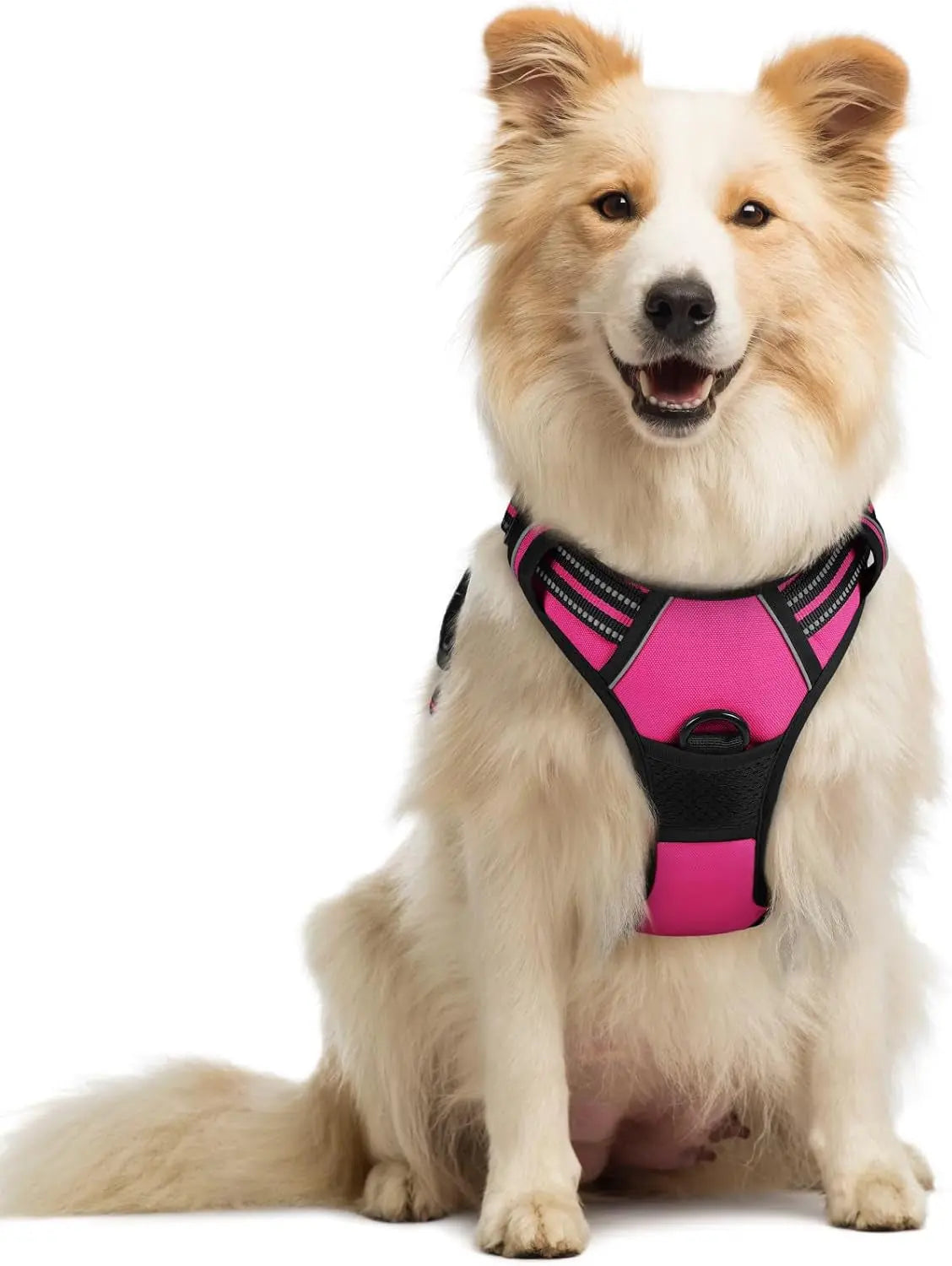 No-Pull Oxford Dog Harness with Dual Leash Clips