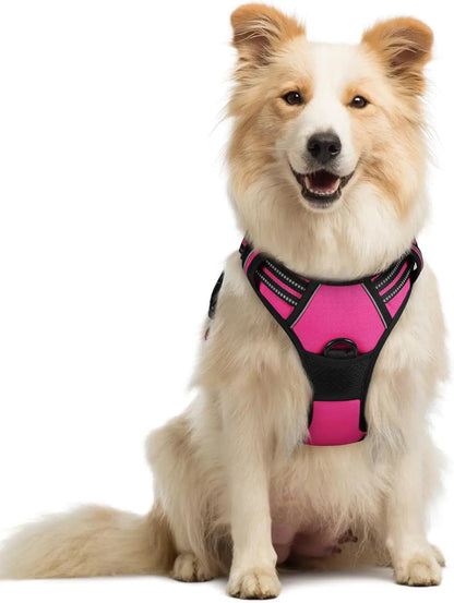 No-Pull Oxford Dog Harness with Dual Leash Clips