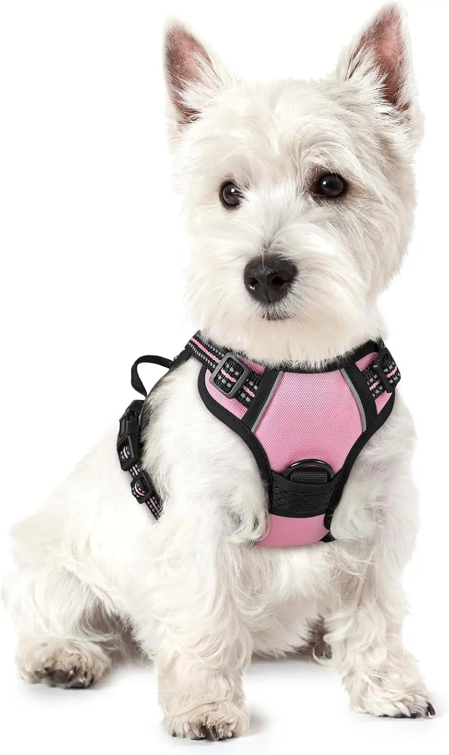 No-Pull Oxford Dog Harness with Dual Leash Clips