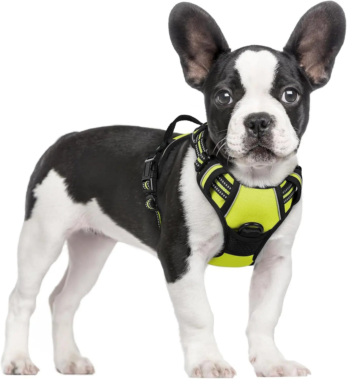 No-Pull Oxford Dog Harness with Dual Leash Clips