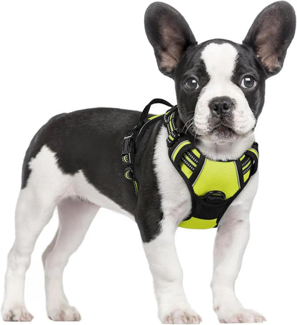 No-Pull Oxford Dog Harness with Dual Leash Clips
