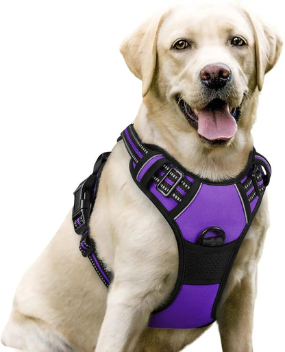 No-Pull Oxford Dog Harness with Dual Leash Clips