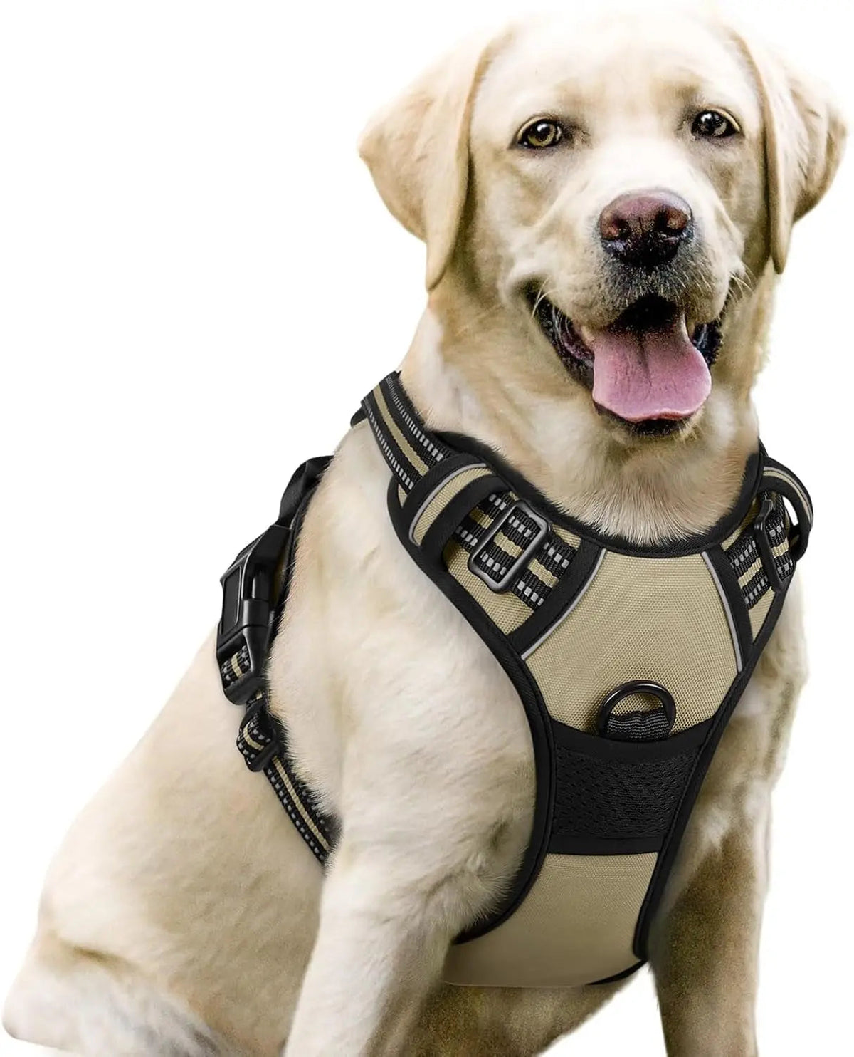No-Pull Oxford Dog Harness with Dual Leash Clips