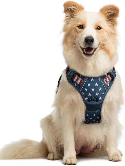 No-Pull Oxford Dog Harness with Dual Leash Clips