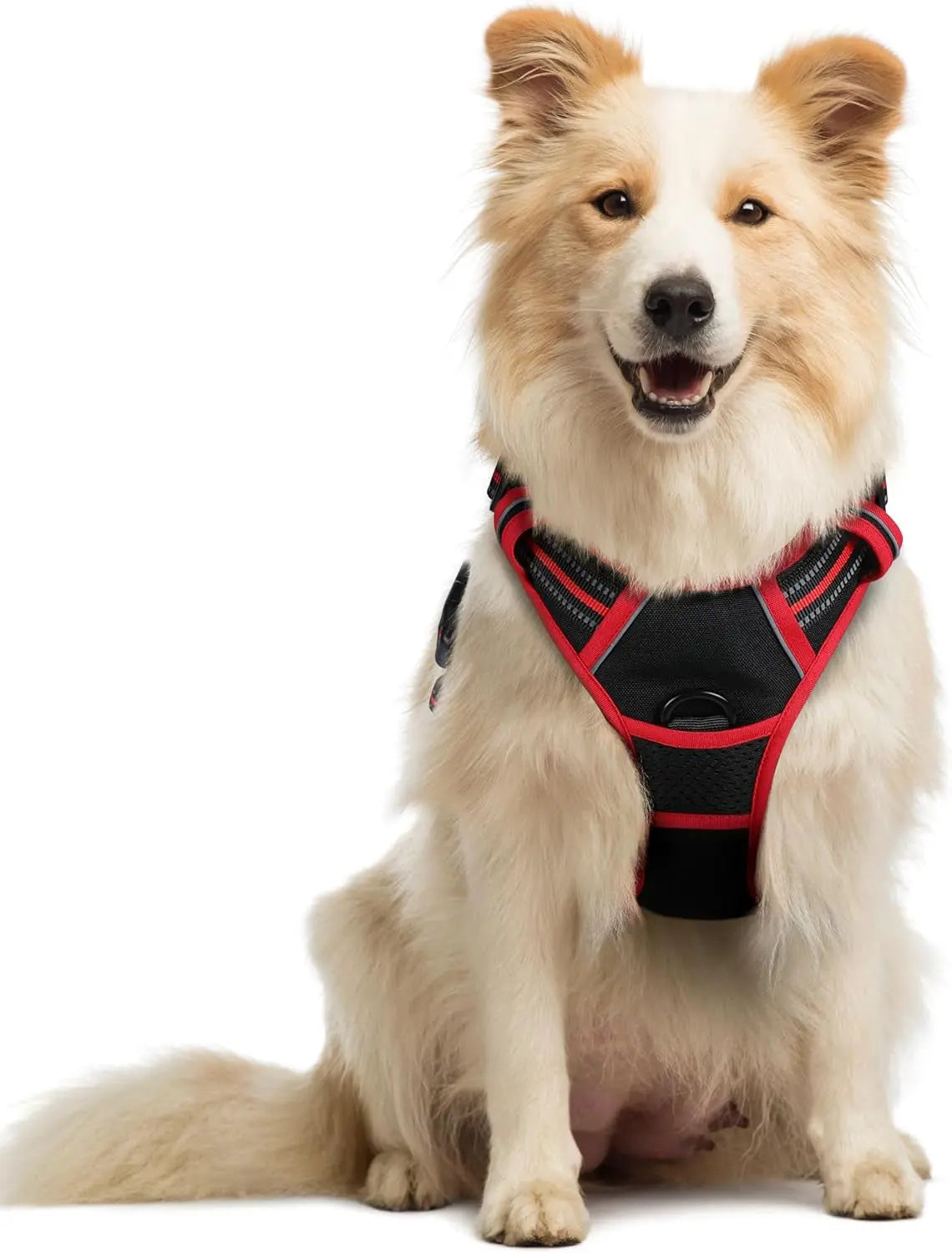 No-Pull Oxford Dog Harness with Dual Leash Clips
