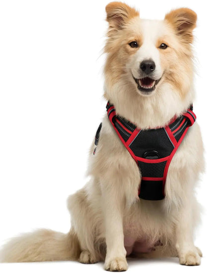 No-Pull Oxford Dog Harness with Dual Leash Clips