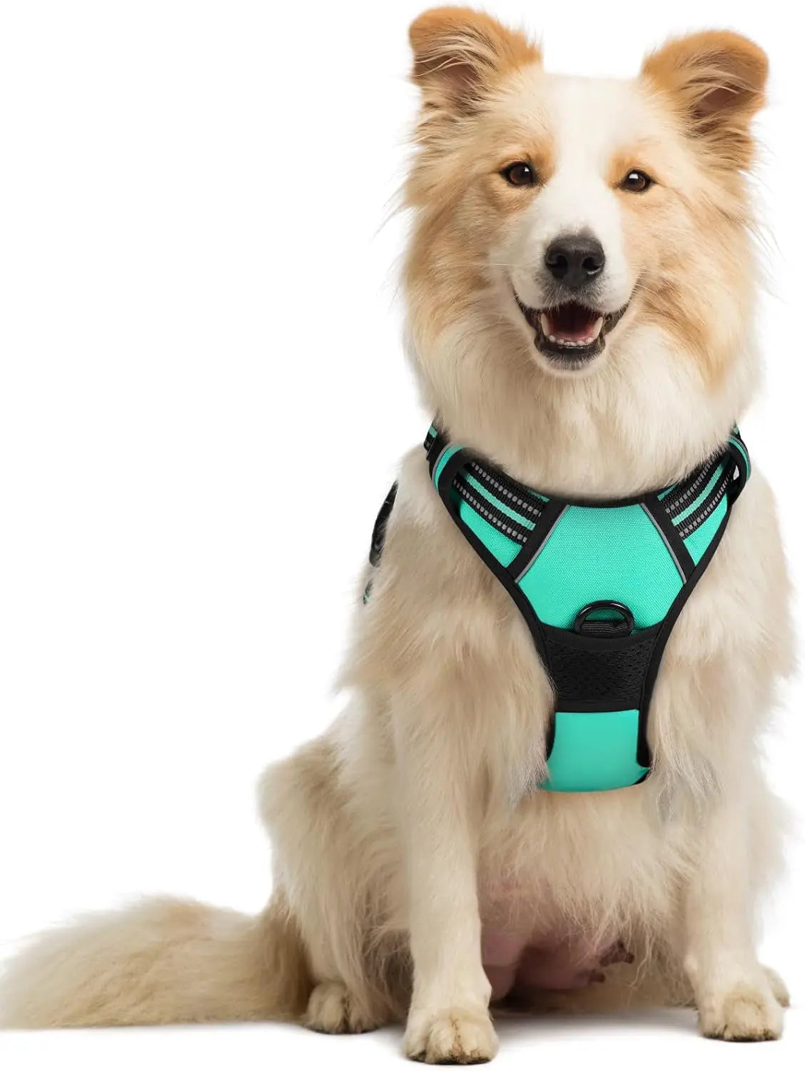 No-Pull Oxford Dog Harness with Dual Leash Clips