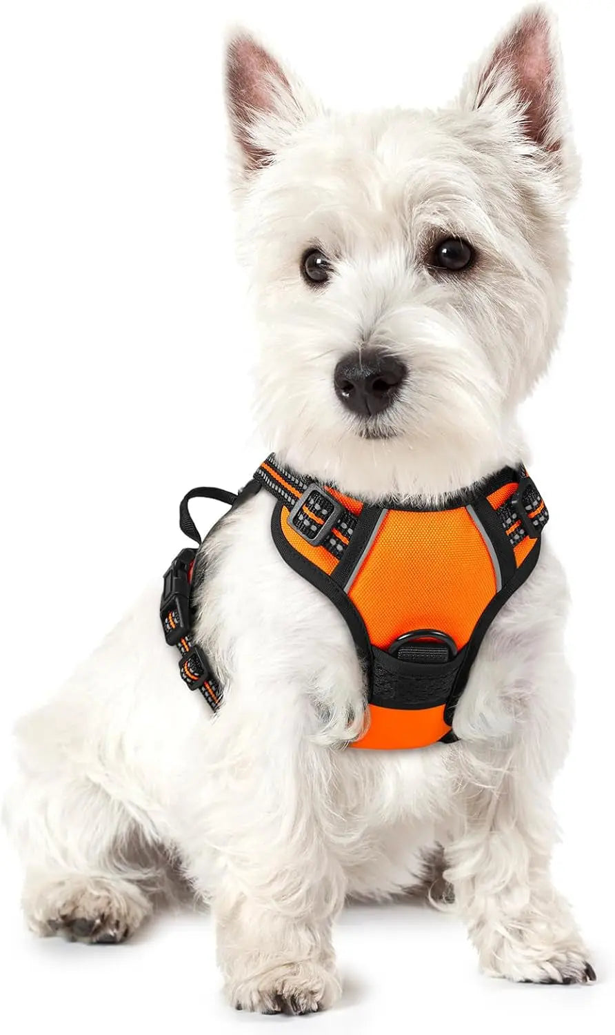 No-Pull Oxford Dog Harness with Dual Leash Clips