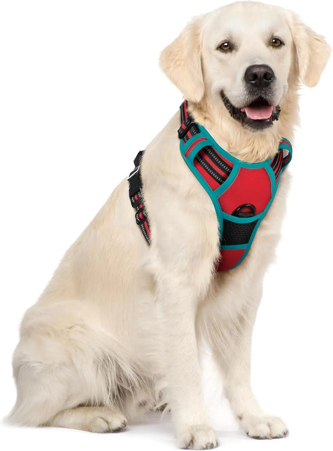 No-Pull Oxford Dog Harness with Dual Leash Clips